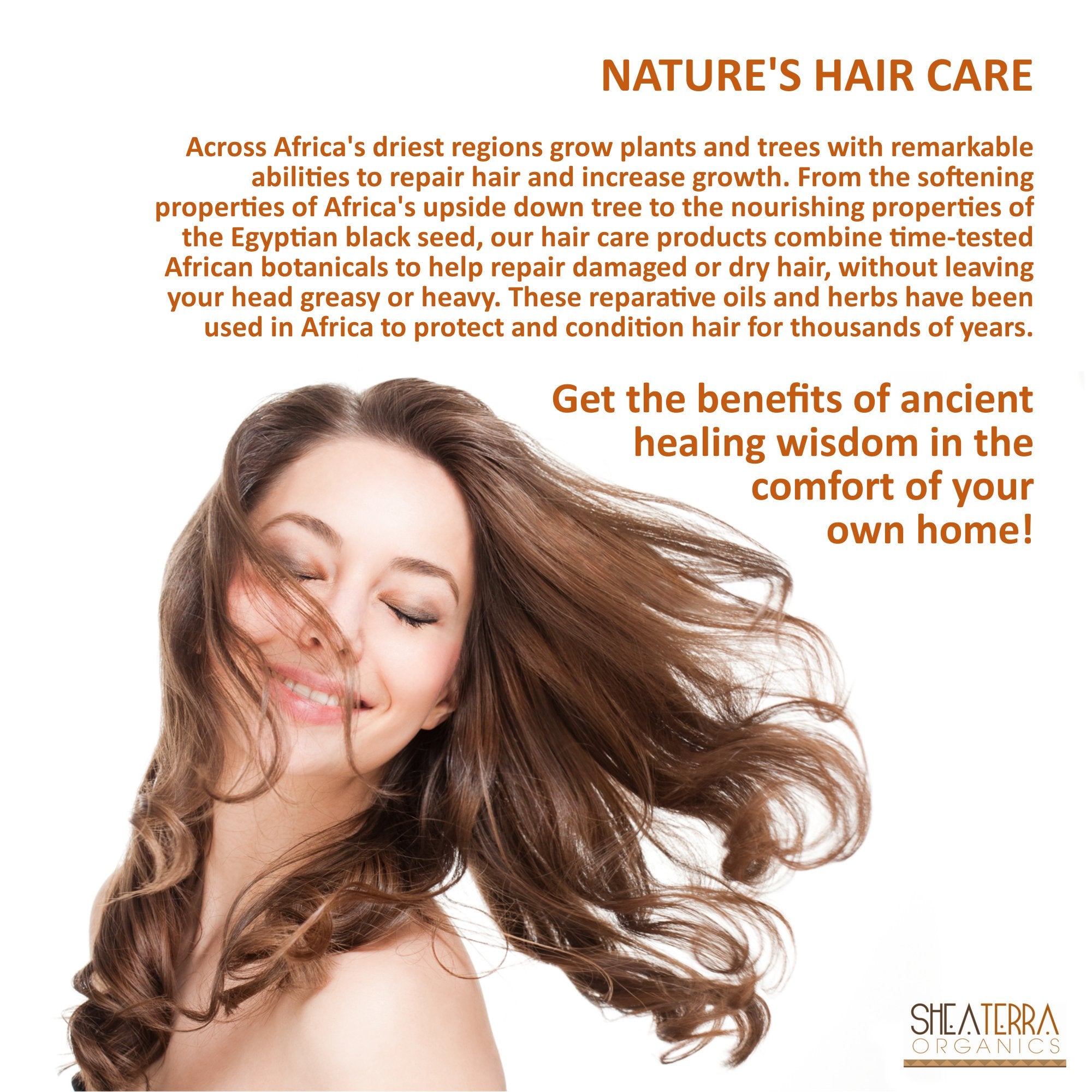 Shea Terra Organics Hair Repair Herbal Butter